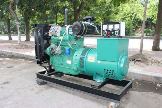 黑水发电机不发电的原因 黑水发电机不发电的原因